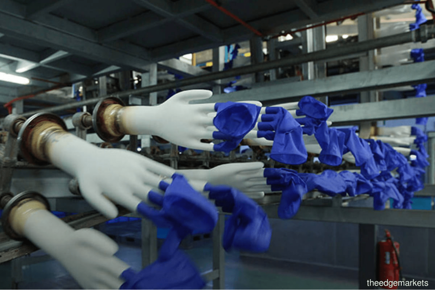 US CBP seizes 4m disposable gloves from Top Glove subsidiary on forced
