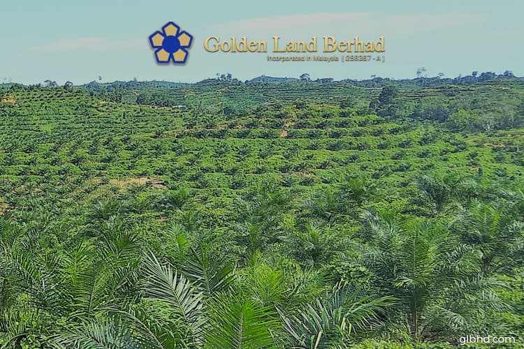 Golden Land buys another plot in East Kalimantan