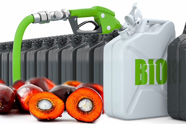 Palm oilbased biodiesel to face pressure at home and