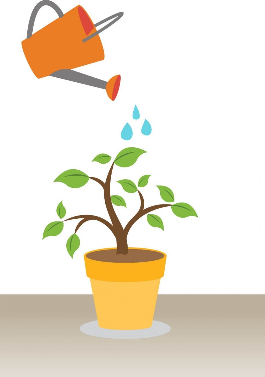 Five plants with multiple uses