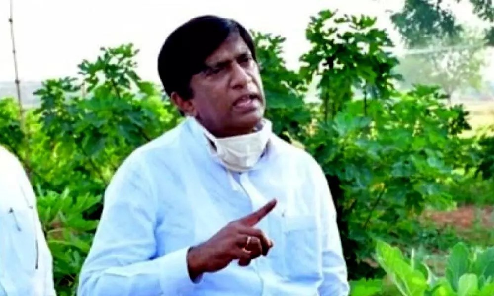 Data proves paddy cultivation in Telangana over 59 lakh acres Vinod Kumar
