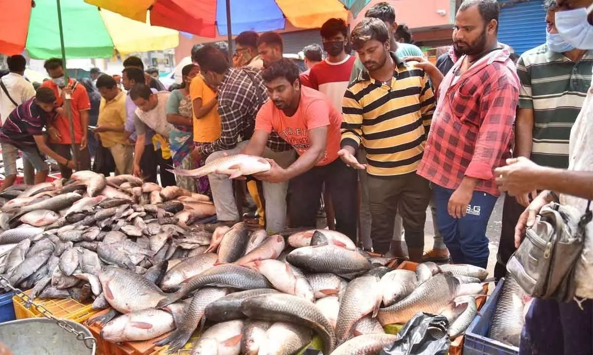 Hyderabad Fish sales shoot through the roof