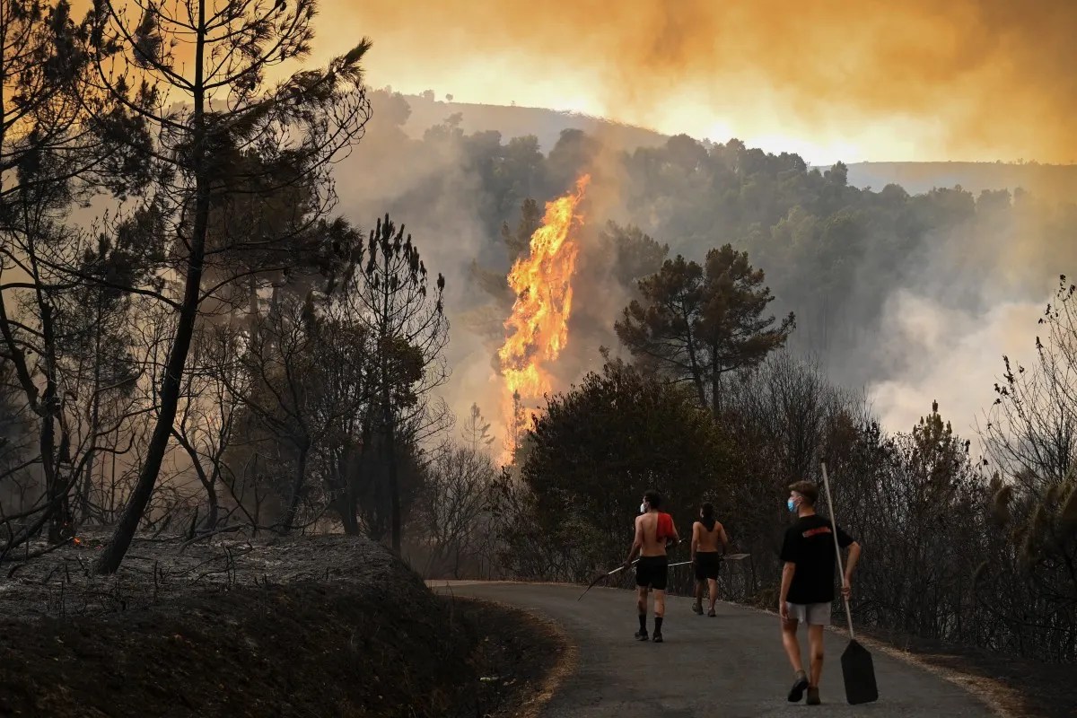 Spanish police arrest four over new forest fires