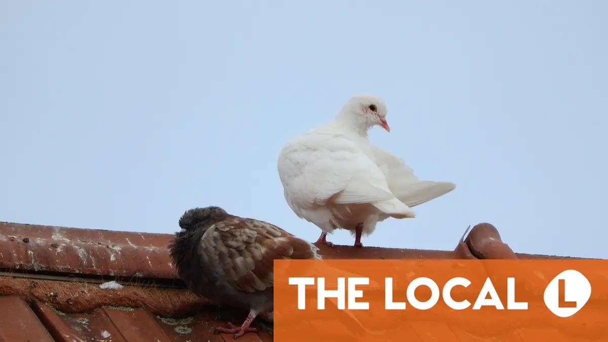 How you can get rent reductions in Switzerland