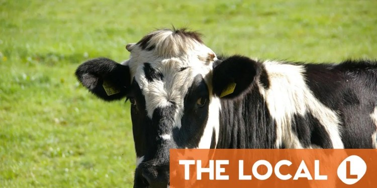 Is Switzerland really dangerous for Americans? Readers have their say