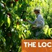 Immigrants in Spain earn a third less than local workers
