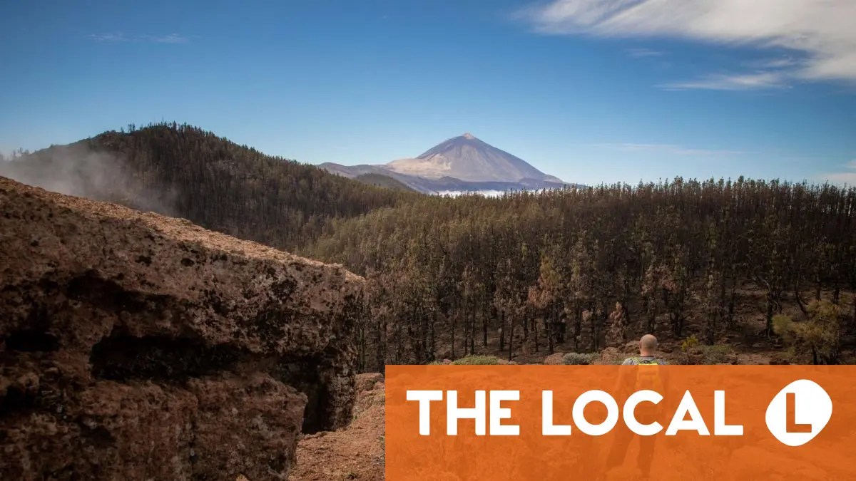 A roundup of the latest news on Friday