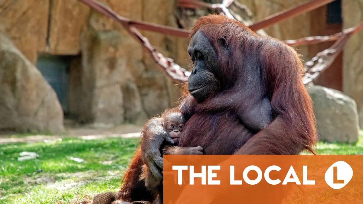 A roundup of the latest news on Thursday