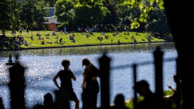 332,500 naturalisations: record year reshapes who becomes German 332,500 naturalisations: record year reshapes who becomes German