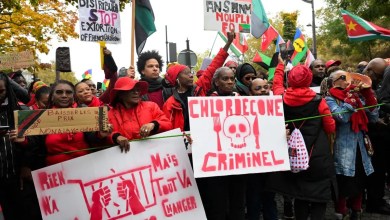 France MPs vote state blame in chlordecone scandal