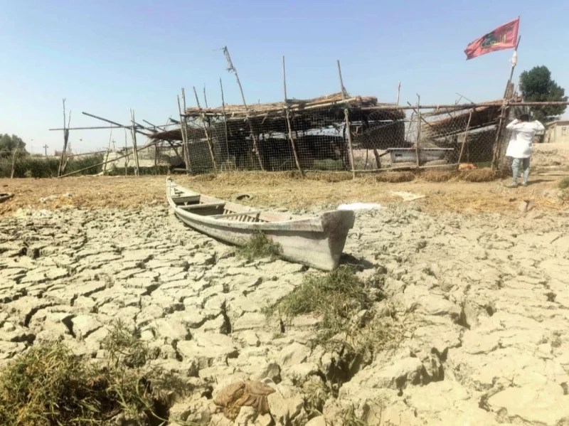 Empowering Change: New Dhi Qar Coalition Takes Action Against Escalating Climate Crisis