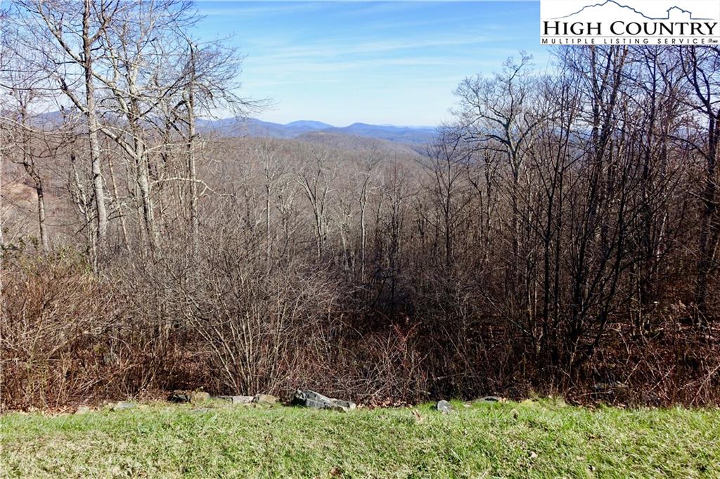 Boone Ridge Lane, Mountain Land For Sale in Boone 828 Real Estate