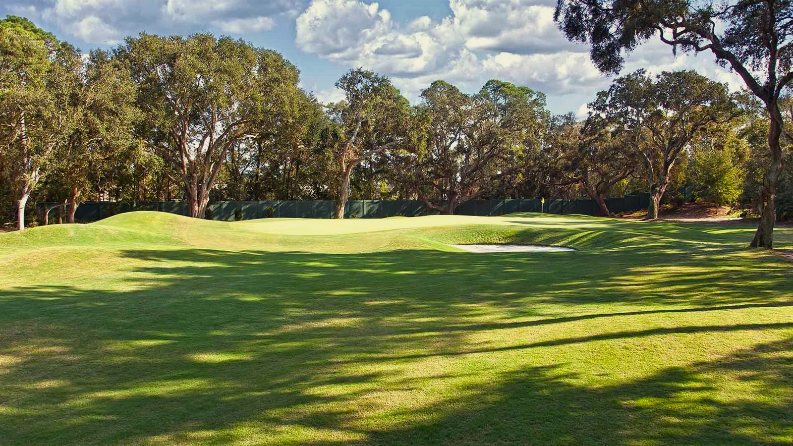 Palmetto Hall Real Estate