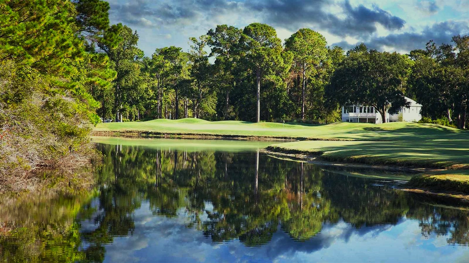 Palmetto Hall Real Estate