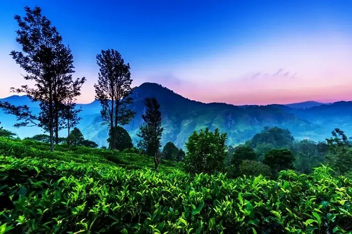 20 Best Places To Visit In Asia In October For Trippers In 2021!