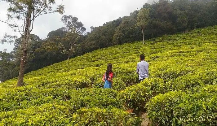 12 Honeymoon Places In Tamil Nadu 2021 For A Surreal Affair