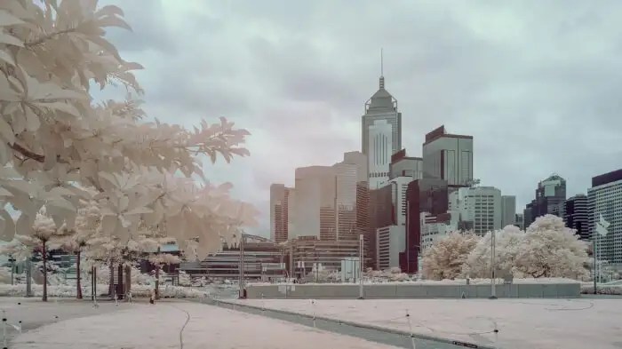 Hong kong In December Is A Great Idea And We Will Tell You Why
