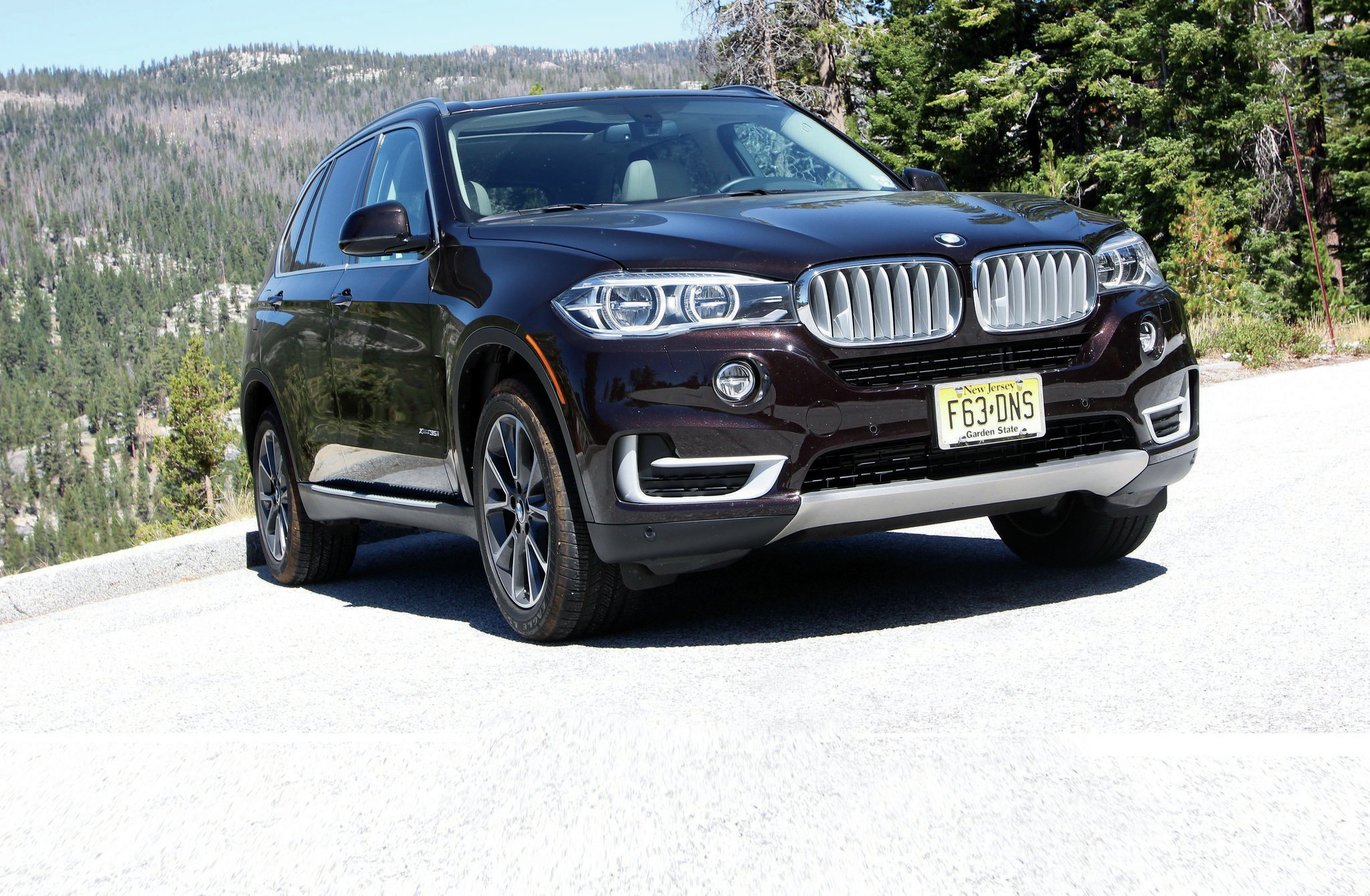 2015 BMW X5 Gas vs. Diesel Luxury People Movers Photo