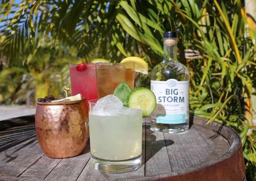 5 MustVisit Breweries in Clearwater UNATION