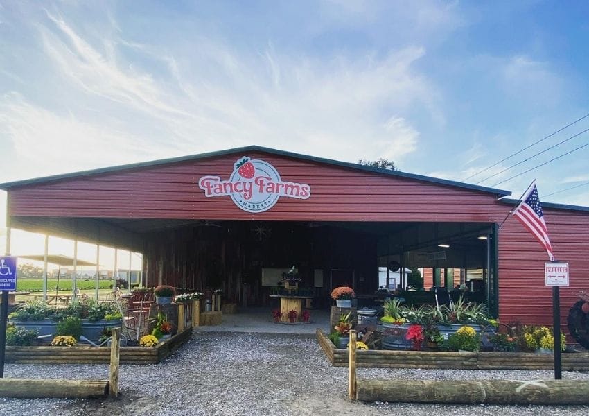 Fun Things to do with Kids in Plant City UNATION