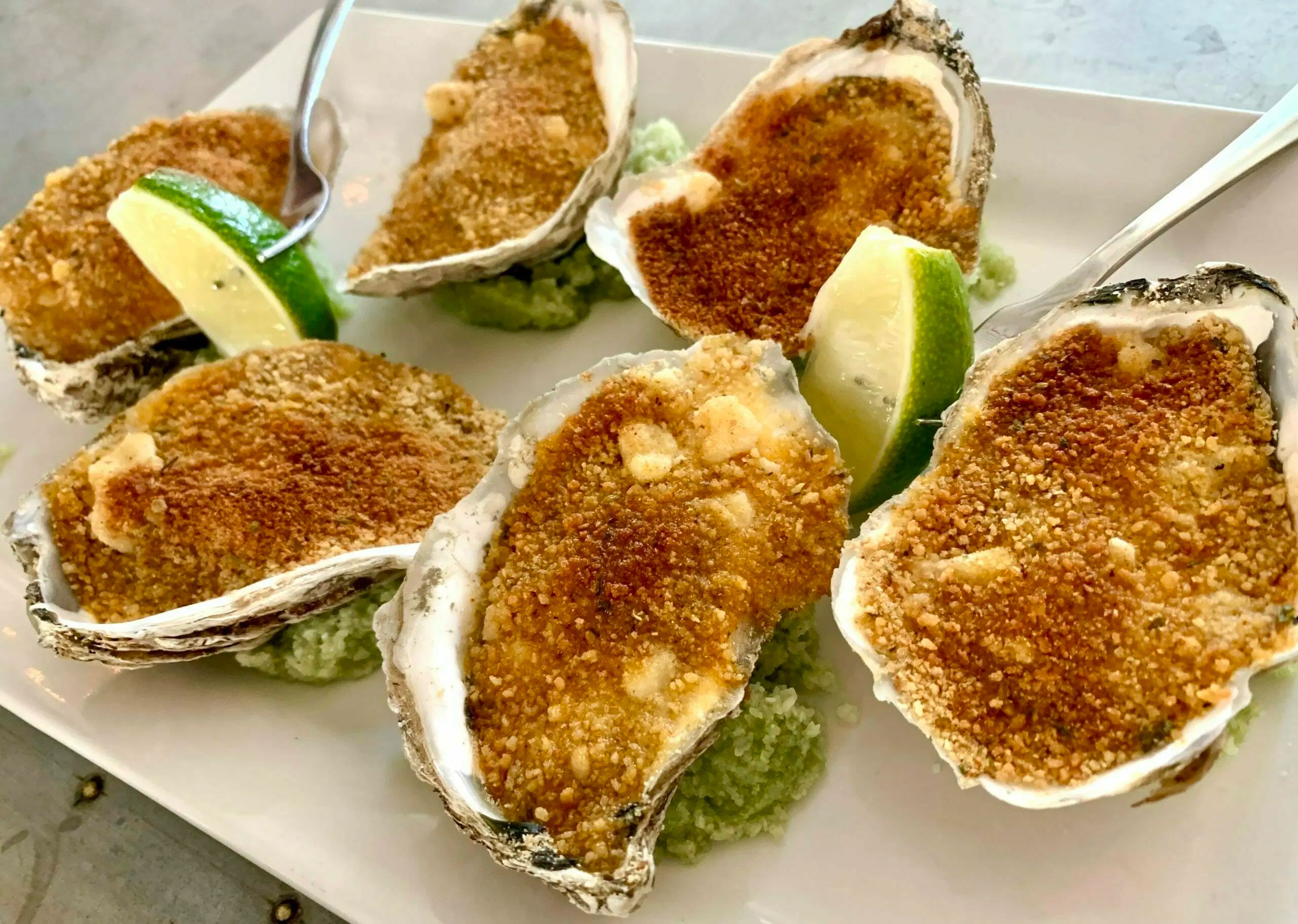10+ Best Spots to Eat Oysters in Tampa Bay UNATION