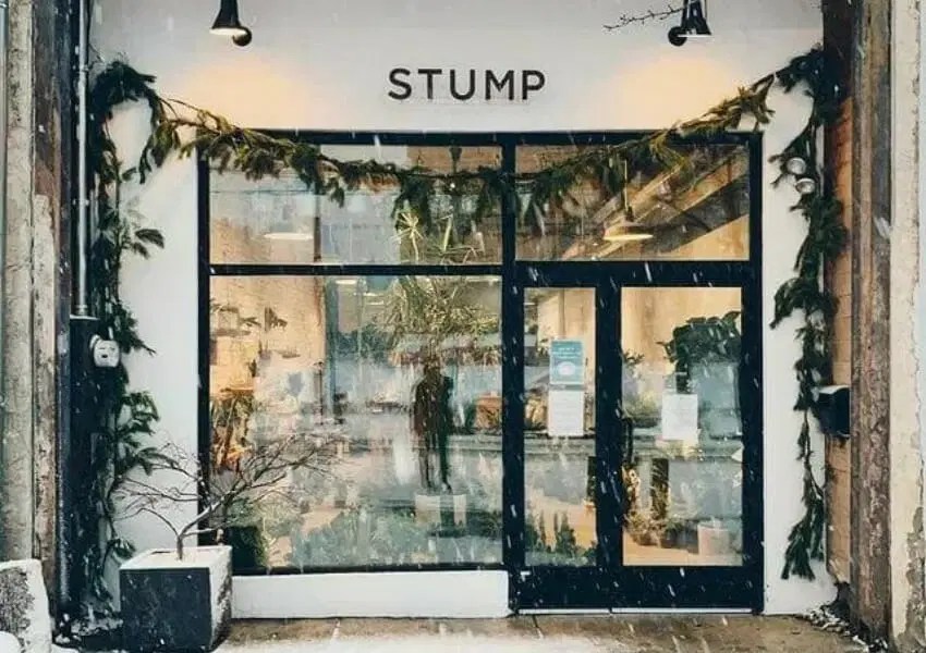 5 Best Plant Shops in Philadelphia UNATION