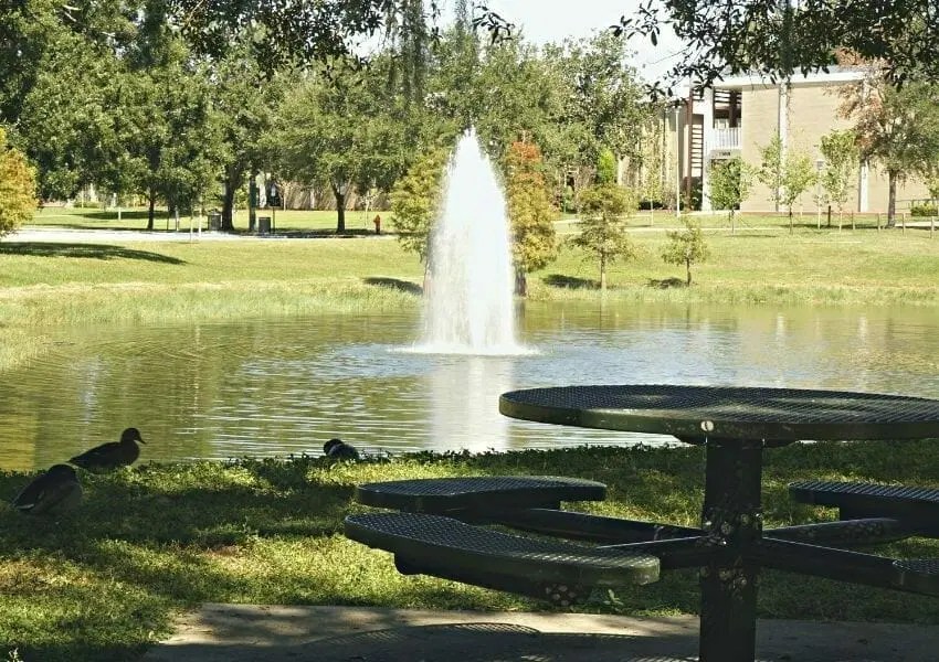 10+ Best Study Spots at USF UNATION