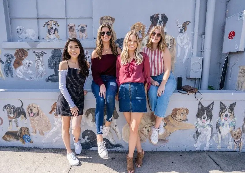 Visit The Most Pet Friendly Neighborhoods in Tampa Bay!