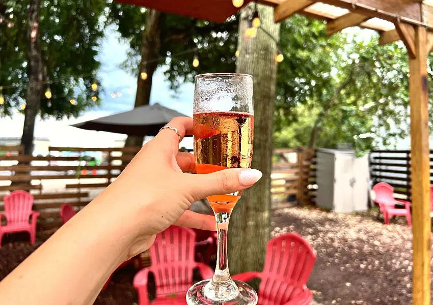12+ Wine Bars in Orlando You Need to Visit UNATION