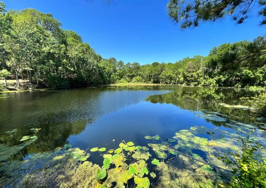5+ Best Hiking Trails Jacksonville FL UNATION