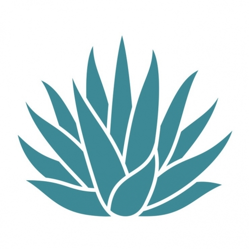 Agave Ranch Water Seltzer Village Creek Brewing Co. LLC Untappd