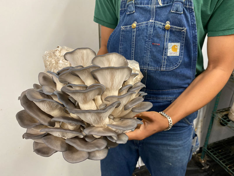 5 Things DPNB Pasta & Provisions’ Tony Scotto Loves Valley Table