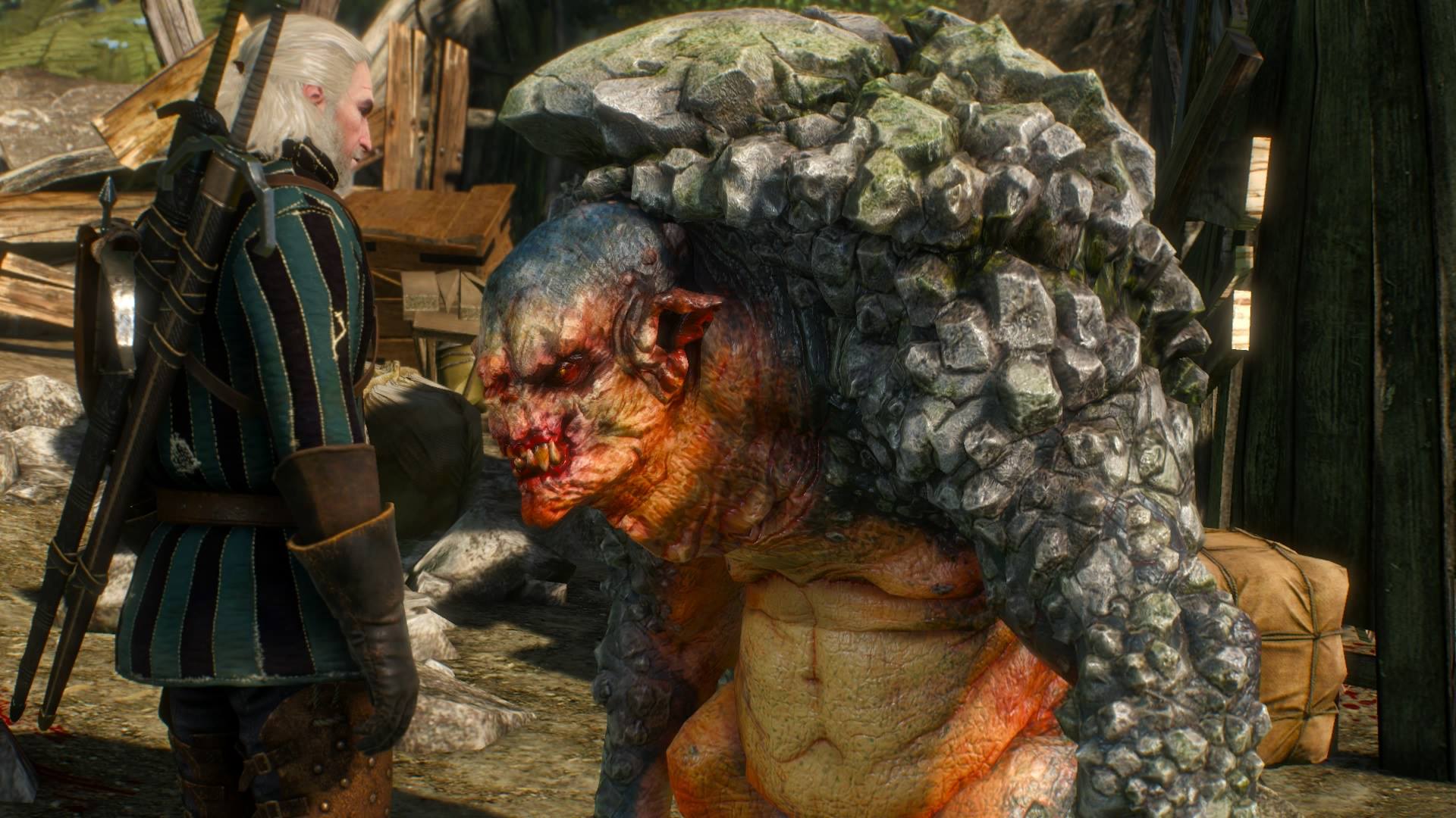 The Witcher 3 The Volunteer VG247