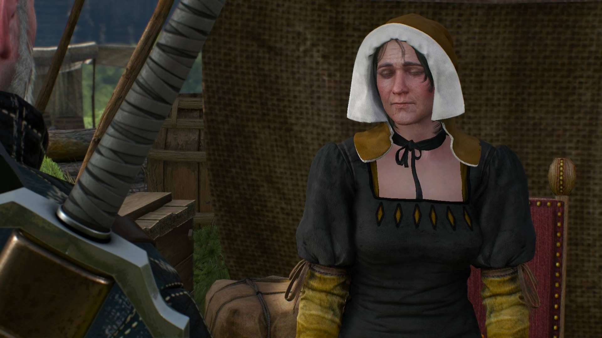 The Witcher 3 Blood Ties VG247