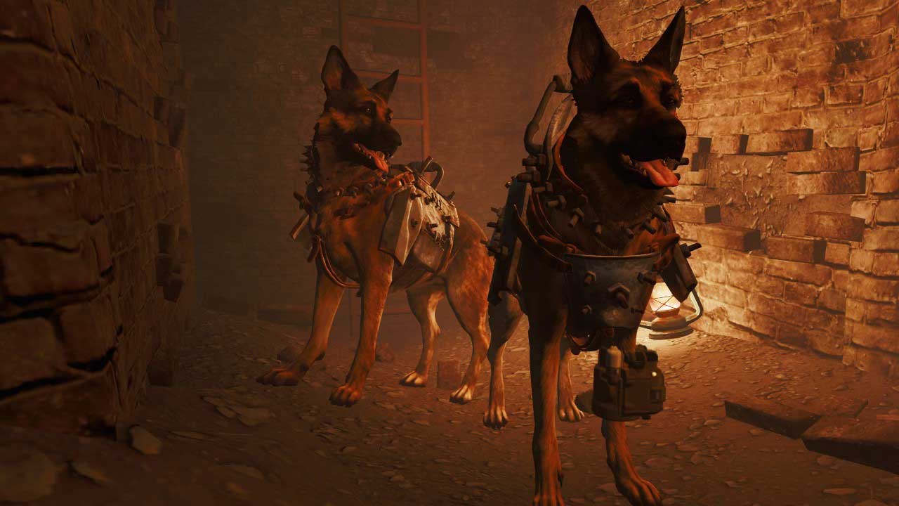 Fallout 4 mod lets you play as Dogmeat VG247