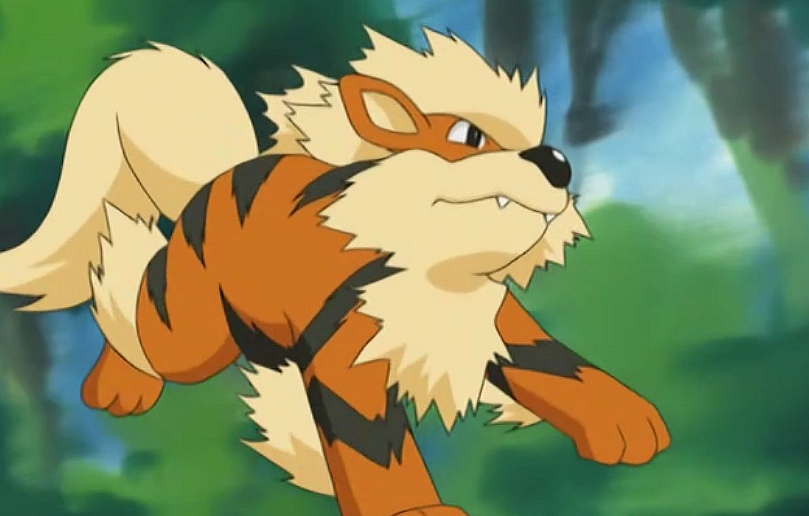 Pokemon Go players walk shelter dogs, save abandoned pets, enjoy wildlife sightings VG247