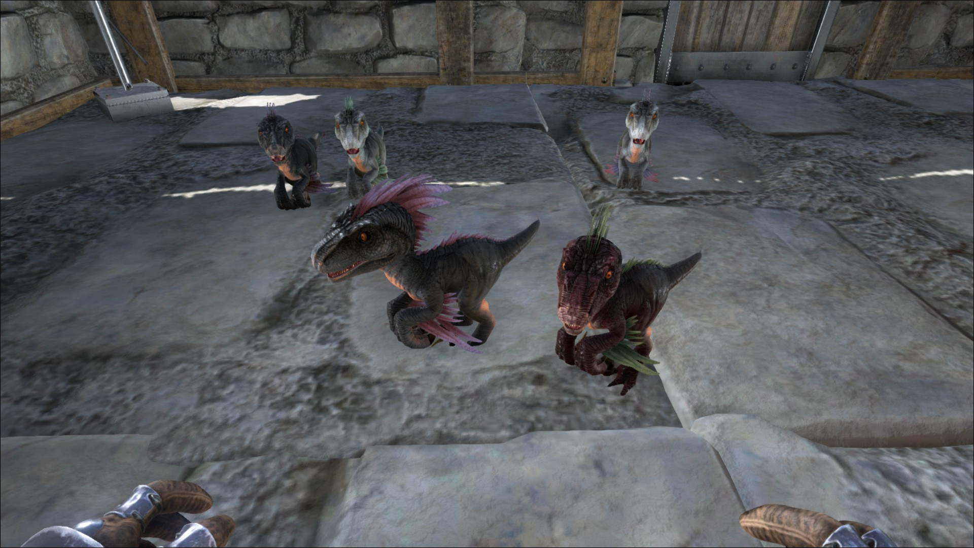 Ark Survival Evolved guide to dinosaur taming VG247