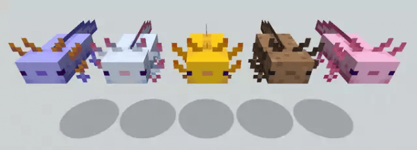Minecraft Axolotls How to tame an axolotl in the Cliffs & Caves update Golden Check Point