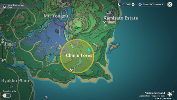Genshin Impact Lost Riches All Special Treasure Clue and Iron Coin locations socionbelarus