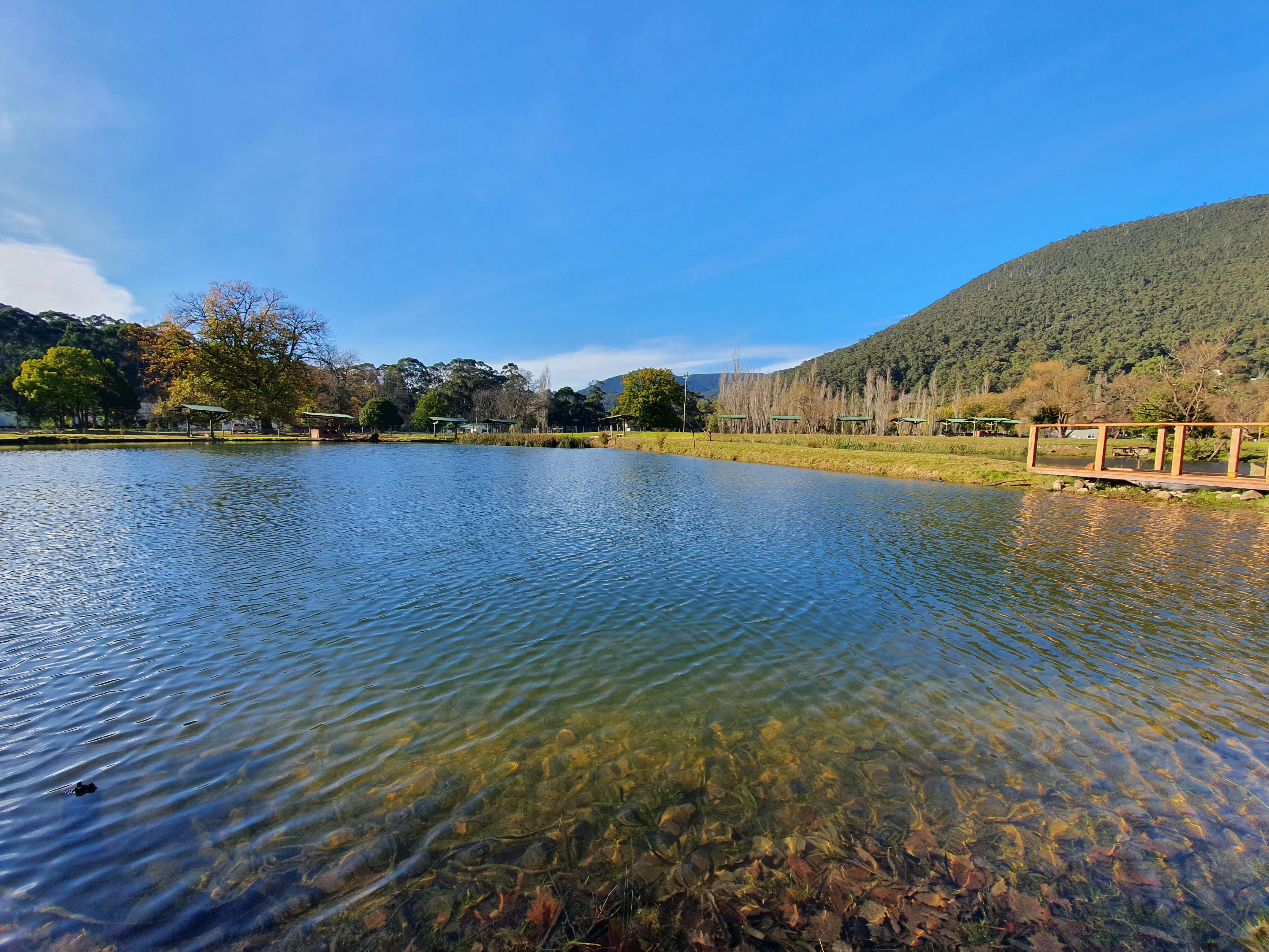 Tommy Finns Trout Farm Visit Yarra Valley & Dandenong Ranges