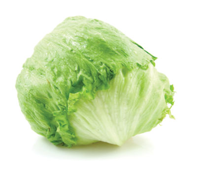 Iceberg Lettuce, 1 each