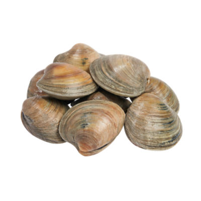 Wild Caught Littleneck Clams