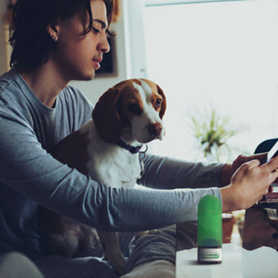 Can You Give A Dog Flonase