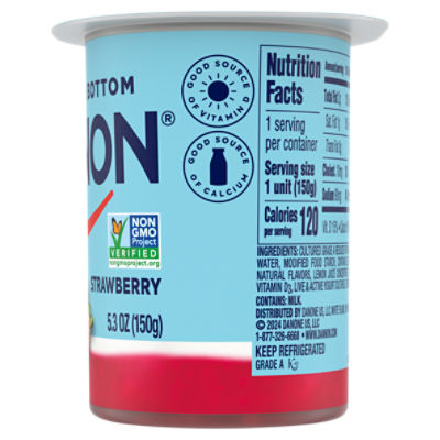 Dannon Strawberry Yogurt Nutrition Label Besto Blog