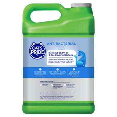 Lightweight Cat Litter Killing Cats Shelly Lighting