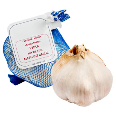 Elephant Garlic, 1 oz Fairway