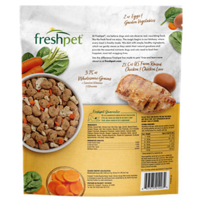 What Is Freshpet Dog Food