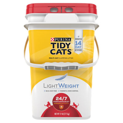 Lightweight Kitty Litter Recall Shelly Lighting
