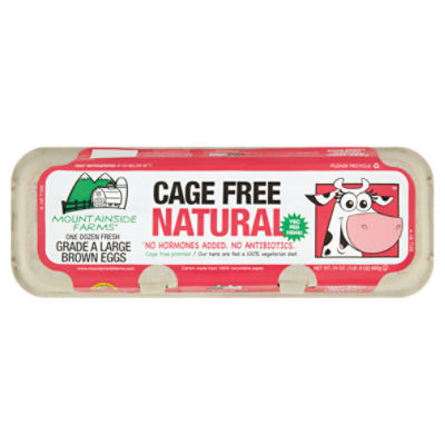 Mountainside Farms Cage Free Natural Large Brown Eggs, 12 count, 24 oz