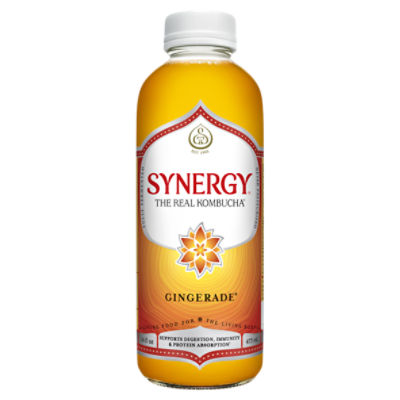 GT's Gingerade Organic & Raw Kombucha, 16 fl oz